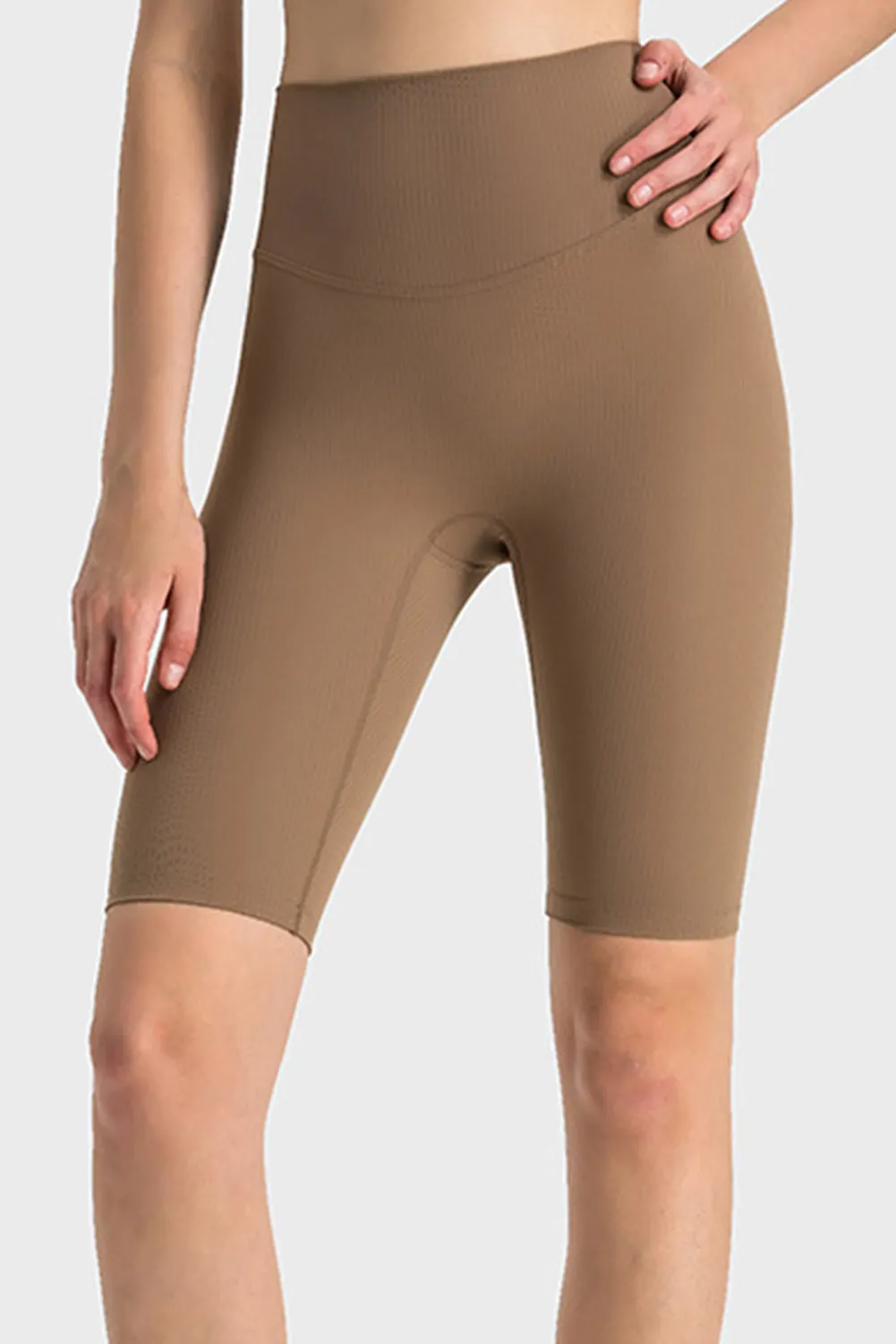 High Waist Tummy Control Seamless Active Shorts