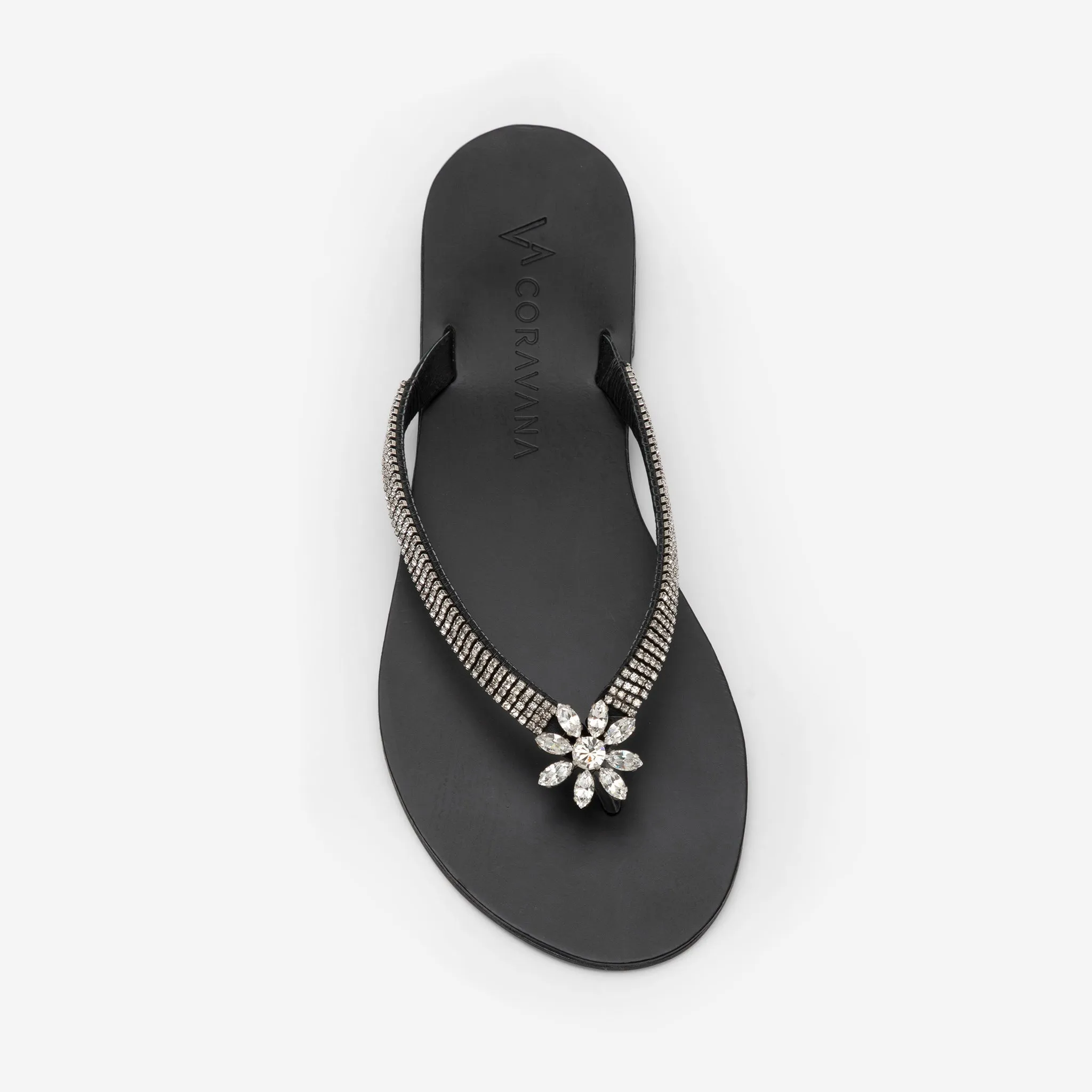 Sunflower Black