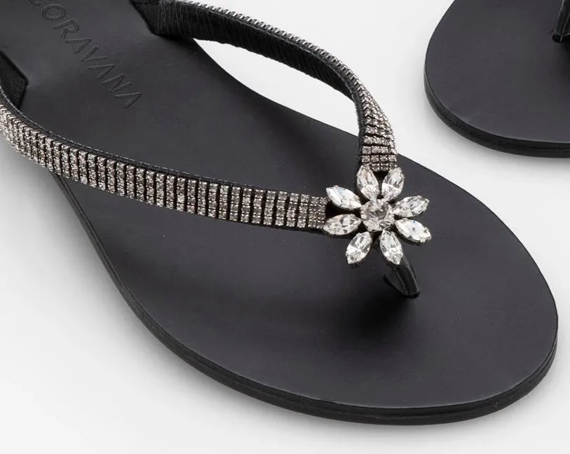 Sunflower Black